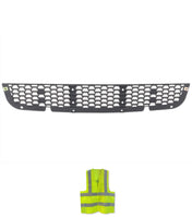 Front Bumper Face Bar Grille Insert 2018+ Freightliner Cascadia 126 116