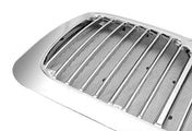 Grille Chrome With Bug Screen 2008-2018 International Prostar